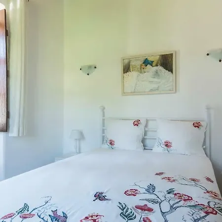 Villa Solar Da Rosa & Solar Da Tirosa Boliqueime Esterno foto
